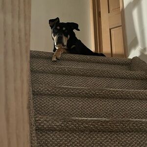 Meet your Posher, Leslie